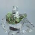 Swarovski Crystal | Disney | Toy Story - Buzz Lightyear | 5428551